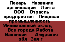 Пекарь › Название организации ­ Лента, ООО › Отрасль предприятия ­ Пищевая промышленность › Минимальный оклад ­ 1 - Все города Работа » Вакансии   . Амурская обл.,Зея г.